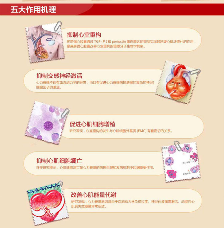 芪苈强心胶囊价格