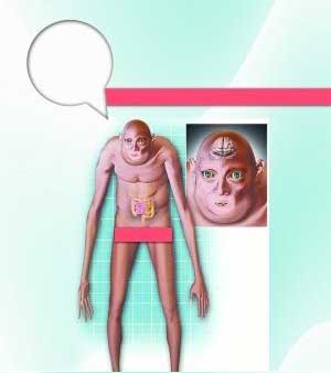 千年后人类模样