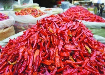 干辣椒竟用硫磺熏制