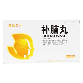 补脑丸(智励天才)包装主图