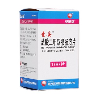 盐酸二甲双胍肠溶片(圣济堂)包装主图