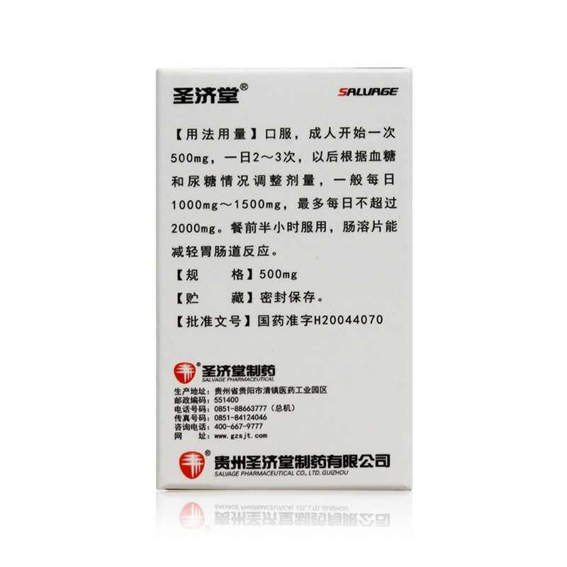 盐酸二甲双胍肠溶片(圣特)包装主图