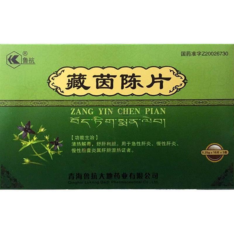 藏茵陈片(鲁抗)