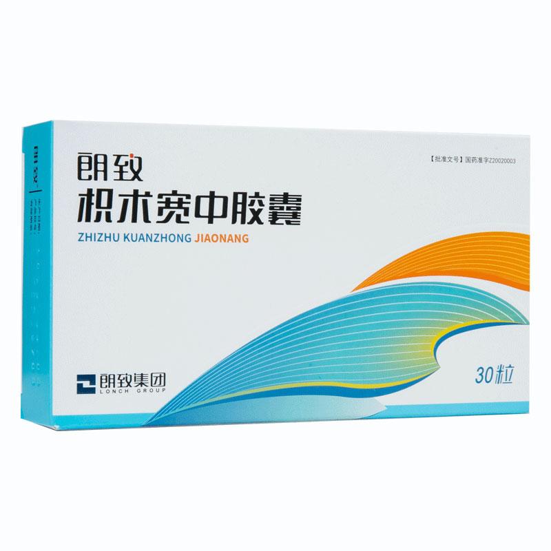 枳术宽中胶囊(朗致)包装主图