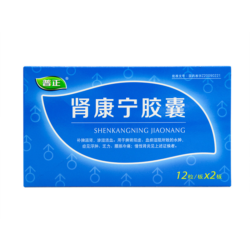 肾康宁胶囊(普正)