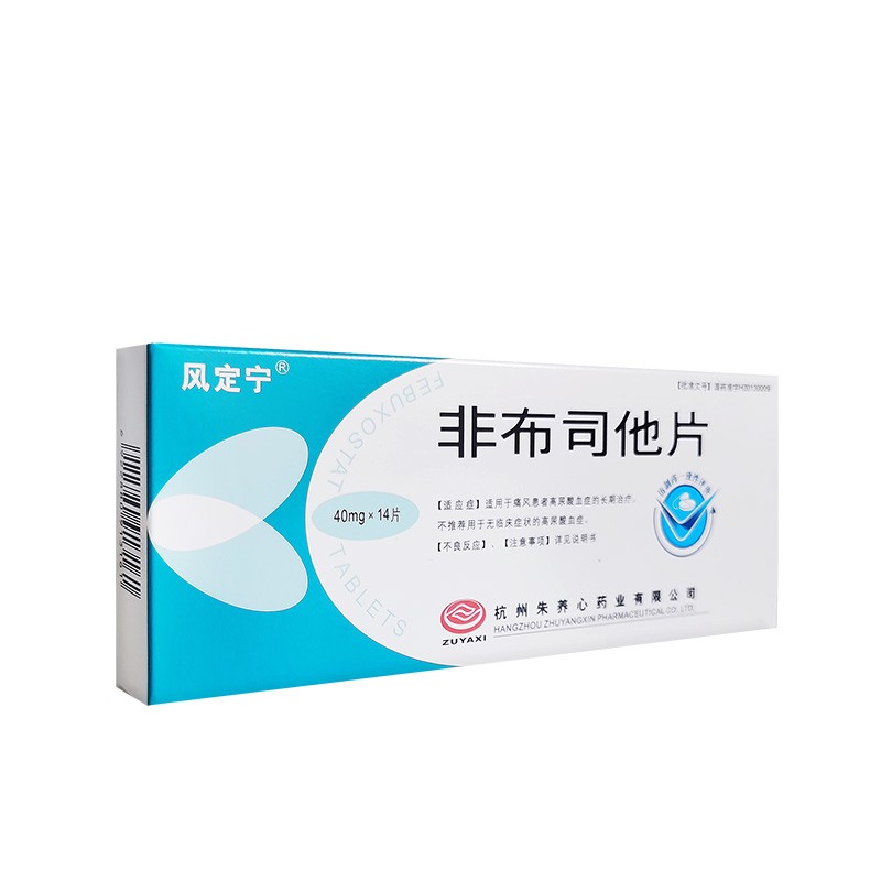 非布司他片(风定宁)包装主图