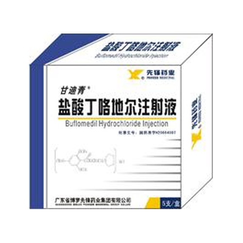 盐酸丁咯地尔注射液(甘迪青)