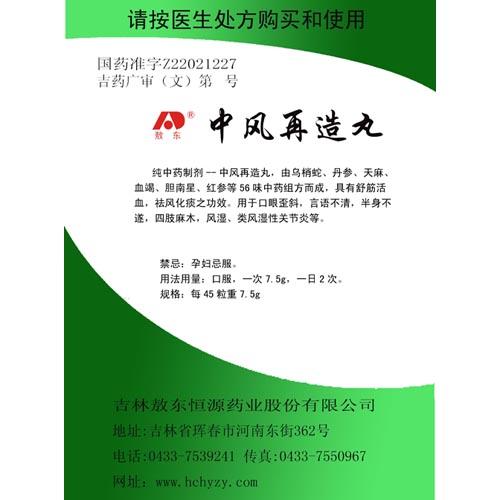 中风再造丸(敖东)