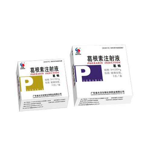 葛根素注射液(葛畅)