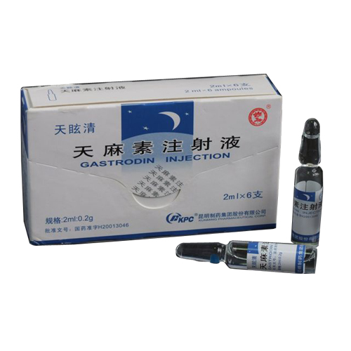 天麻素注射液(天眩清)