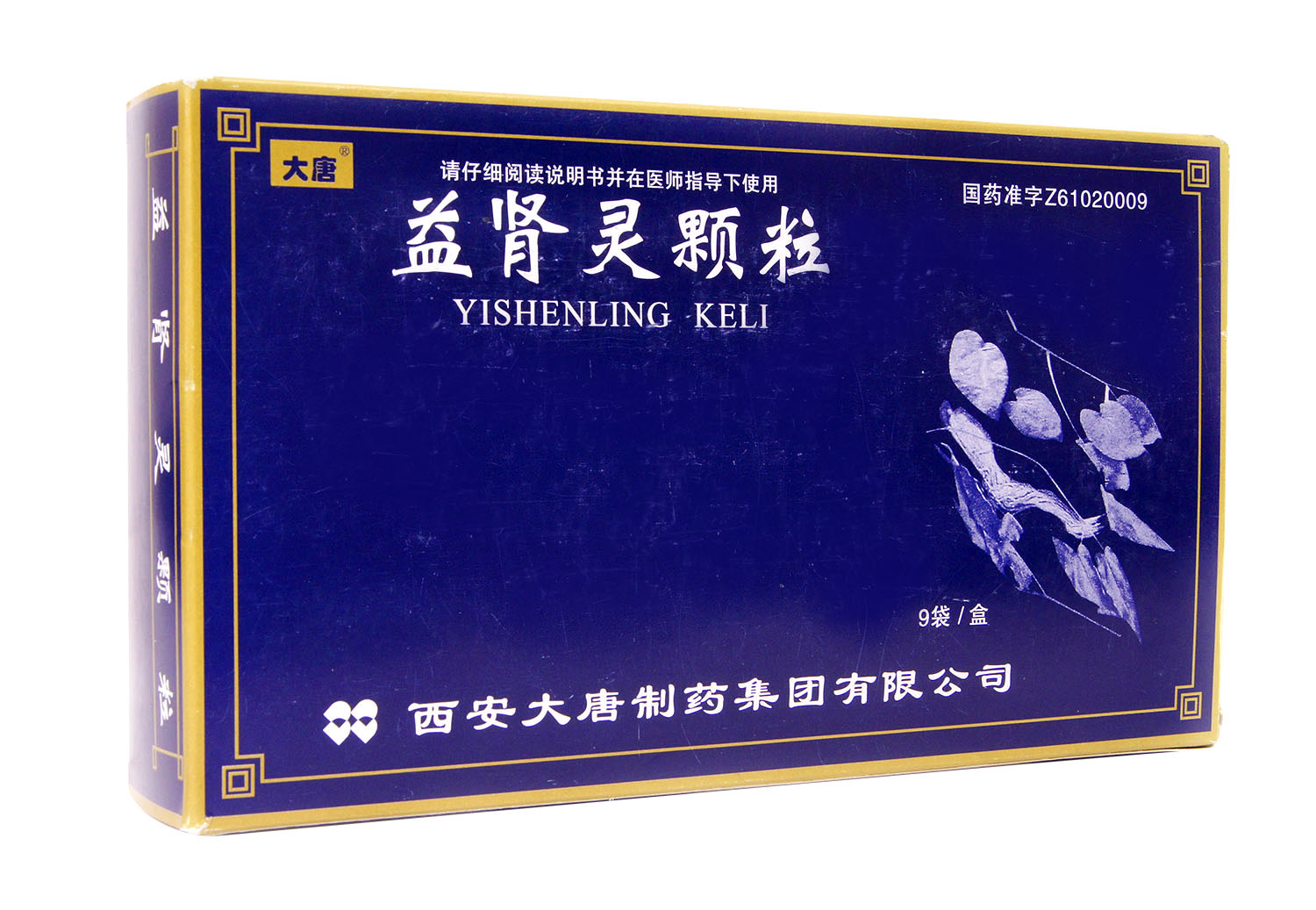 益肾灵颗粒(大唐)包装主图