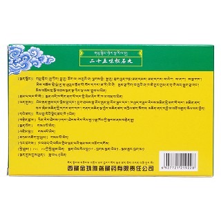 二十五味松石丸(金珠雅砻)包装主图