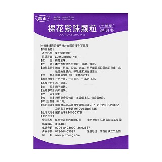 裸花紫珠颗粒(普正)包装主图