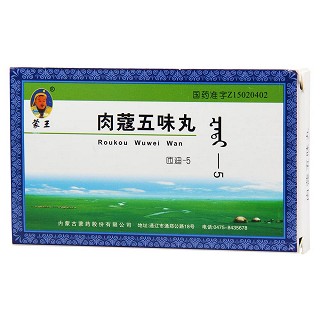 肉蔻五味丸(蒙王)包装主图