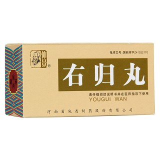 右归丸(仲景)包装主图