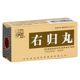 右归丸(仲景)包装主图