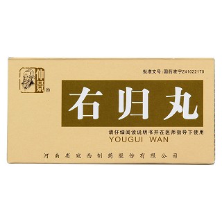 右归丸(仲景)包装主图