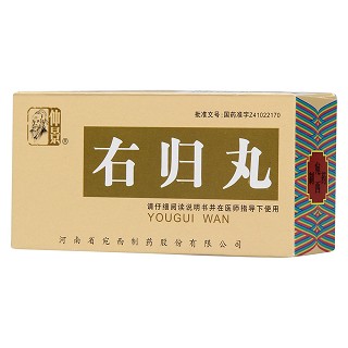 右归丸(仲景)包装主图