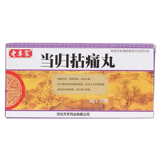 当归拈痛丸(老专家)包装主图