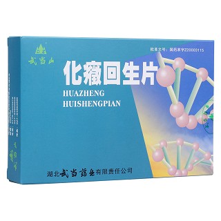 化癥回生片(武当山)包装主图