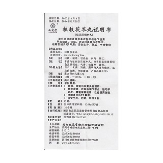 桂枝茯苓丸(九芝堂)包装主图