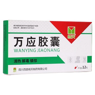 万应胶囊(杨天)