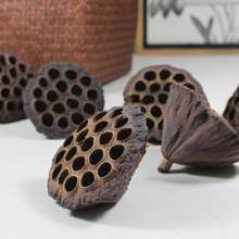 莲房炭(莲房炭)