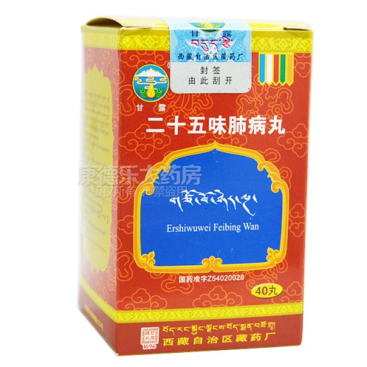 二十五味肺病丸(甘露)包装主图