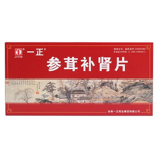 参茸补片(一正)包装主图