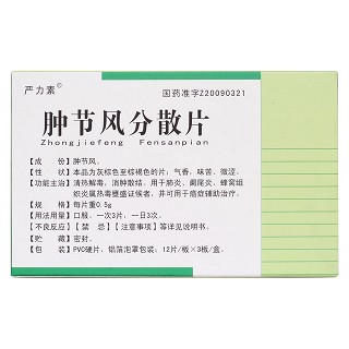 肿节风分散片(严力素)包装主图