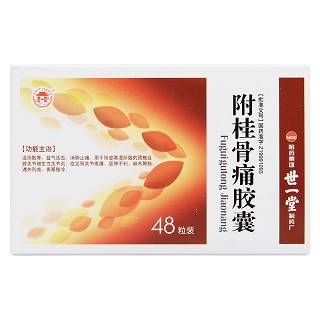 附桂骨痛胶囊(世一堂)包装主图