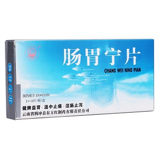 肠胃宁片(东方)