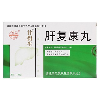 肝复康丸(甘得生)包装主图