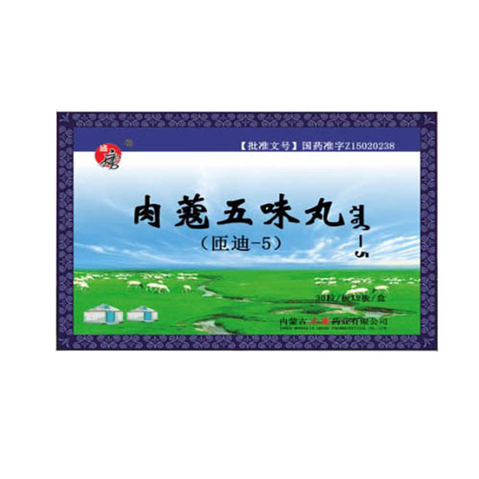 肉蔻五味丸(盛唐)