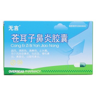 苍耳子鼻炎胶囊(无言)包装主图