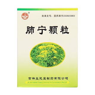 肺宁颗粒(君美)包装主图