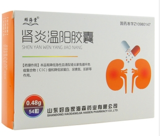 肾炎温阳胶囊(颐海棠)包装主图