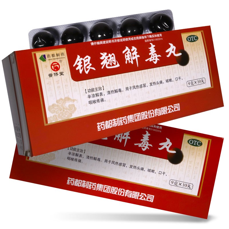 银翘解毒丸(普济堂)