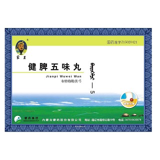 健脾五味丸(蒙王)包装主图