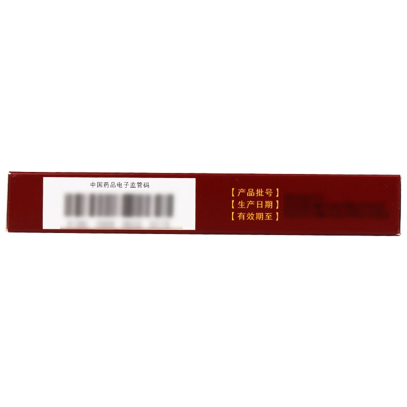 十味豆蔻丸(奇正)包装主图