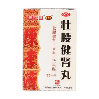 壮腰健肾丸(陈李济)包装主图