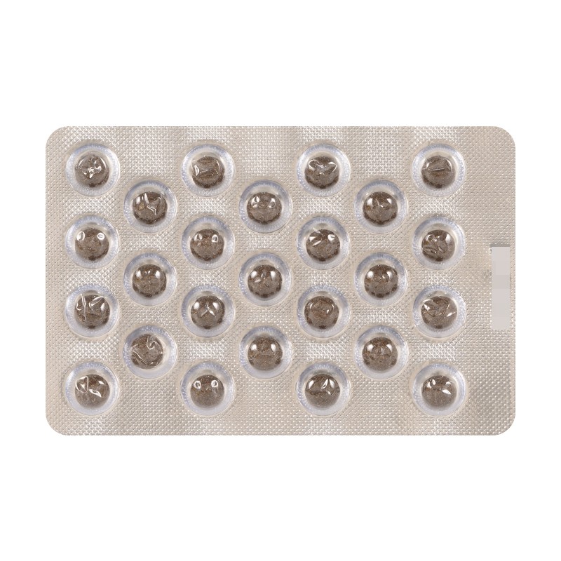 扎冲十三味丸(阜药)包装主图