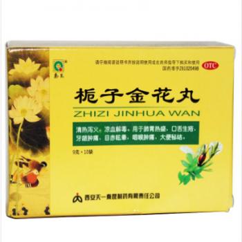 栀子金花丸(秦昆)包装主图