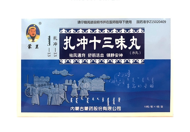 扎冲十三味丸(蒙王)