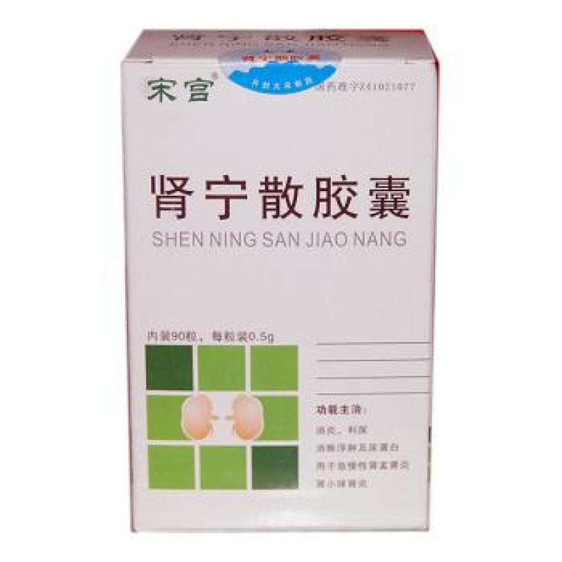 肾宁散胶囊(宋宫)